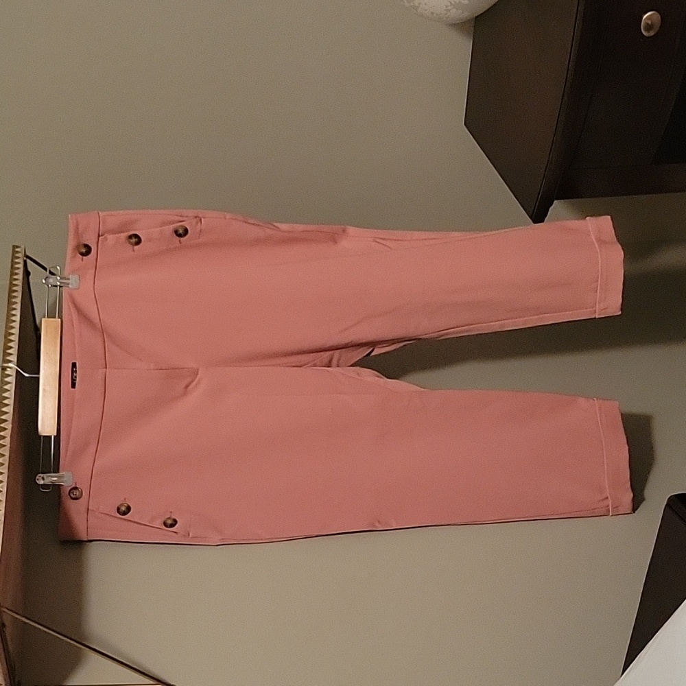 Loft petite curvy pink pants Size 18P